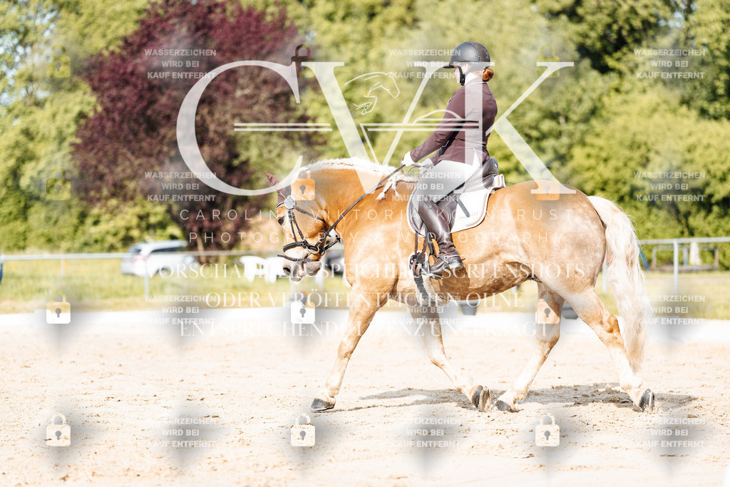CK900269 | Turnierfotografie Pferdefotografie Trier Rheinland-Pfalz Pferdesport Reitsport Tierfotografie Sportfotografie Pferdevideo Pferdevideografie Equestrianvideography equestrianphotography  - Realisiert mit Pictrs.com