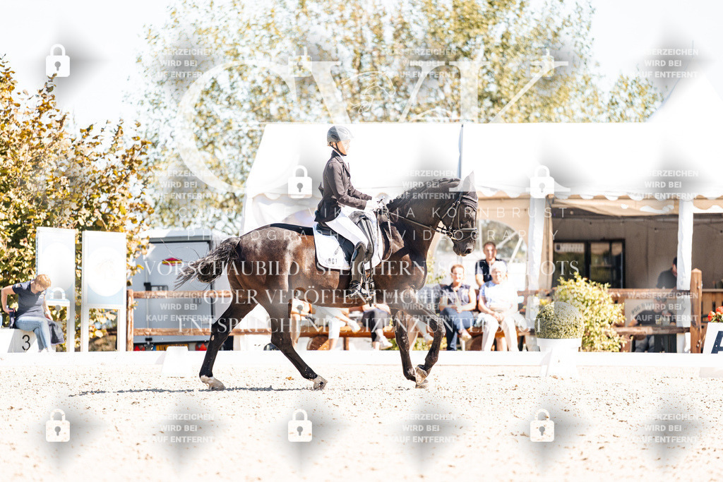CK909892 | Turnierfotografie Pferdefotografie Trier Rheinland-Pfalz Pferdesport Reitsport Tierfotografie Sportfotografie Pferdevideo Pferdevideografie Equestrianvideography equestrianphotography  - Realisiert mit Pictrs.com