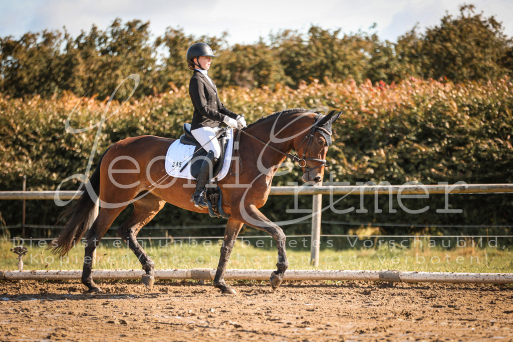 07.SoDrE00141 | Leoni Ertmer Photography - Realisiert mit Pictrs.com