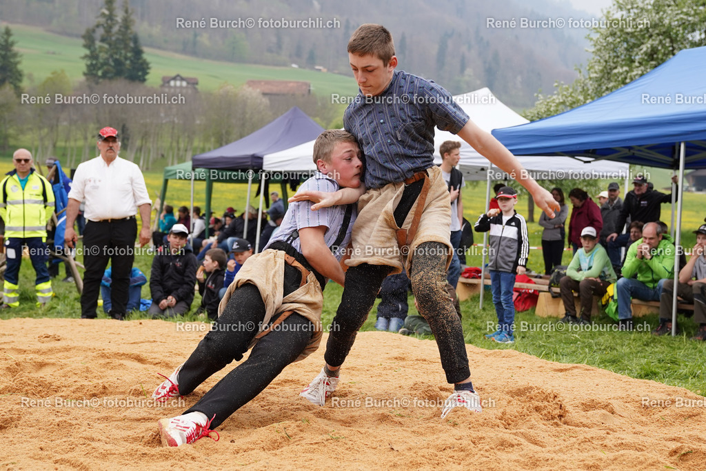 20220423-DSC03657 (2) | René Burch leidenschaftlicher Fotograf aus Kerns in Obwalden.  Hier finden sie Sport, Landschaft und Natur Fotografie.
 - Realisiert mit Pictrs.com