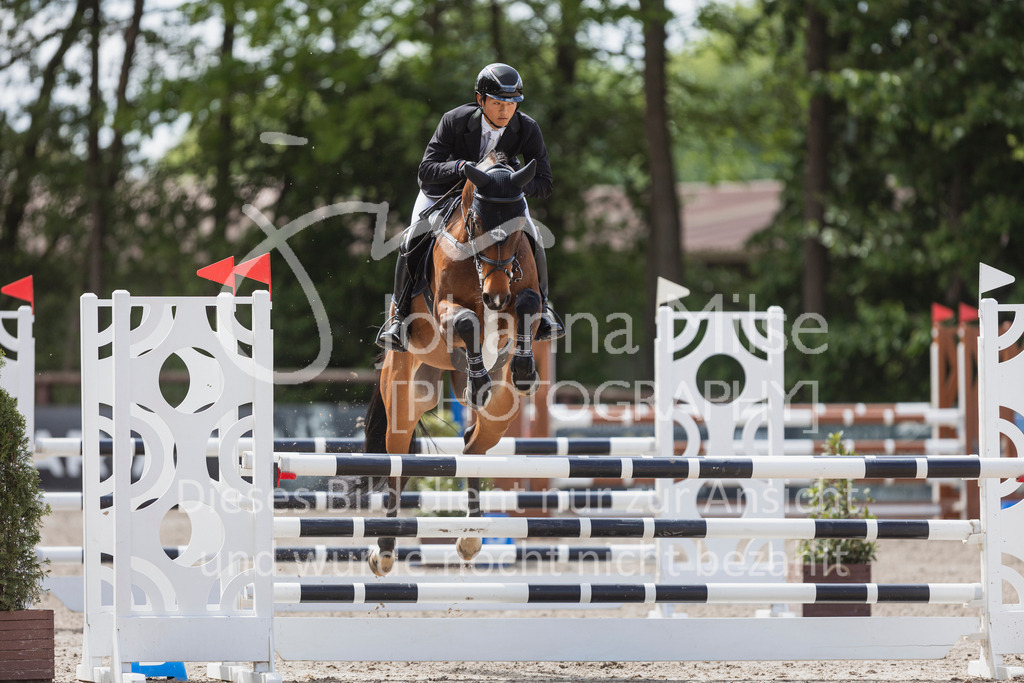 250506_Mühlen_SprPf-L1-340 | Deine schönsten Turniermomente als professionelle Fotos! Entdecke hochwertige Pferdesport-Fotografie im Online-Shop. Jetzt Fotos finden & bestellen!