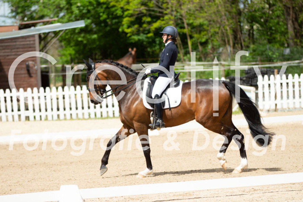 IMG_5946 | Creatify Fotografie