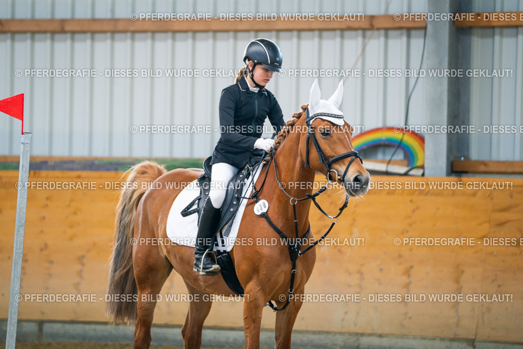 DSC01860 | Pferdegrafie