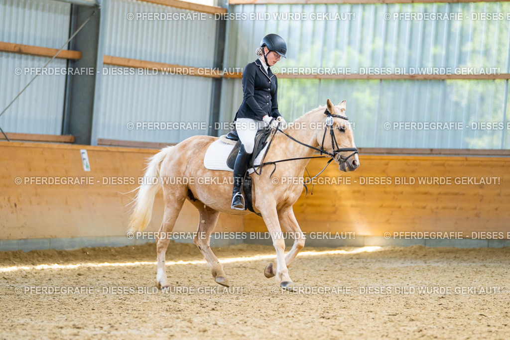 DSC09363 | Pferdegrafie