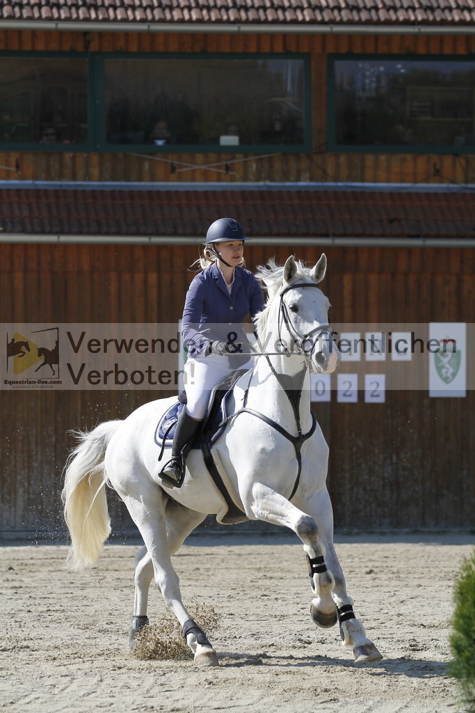 _MG_6717 | equestrian-live-com