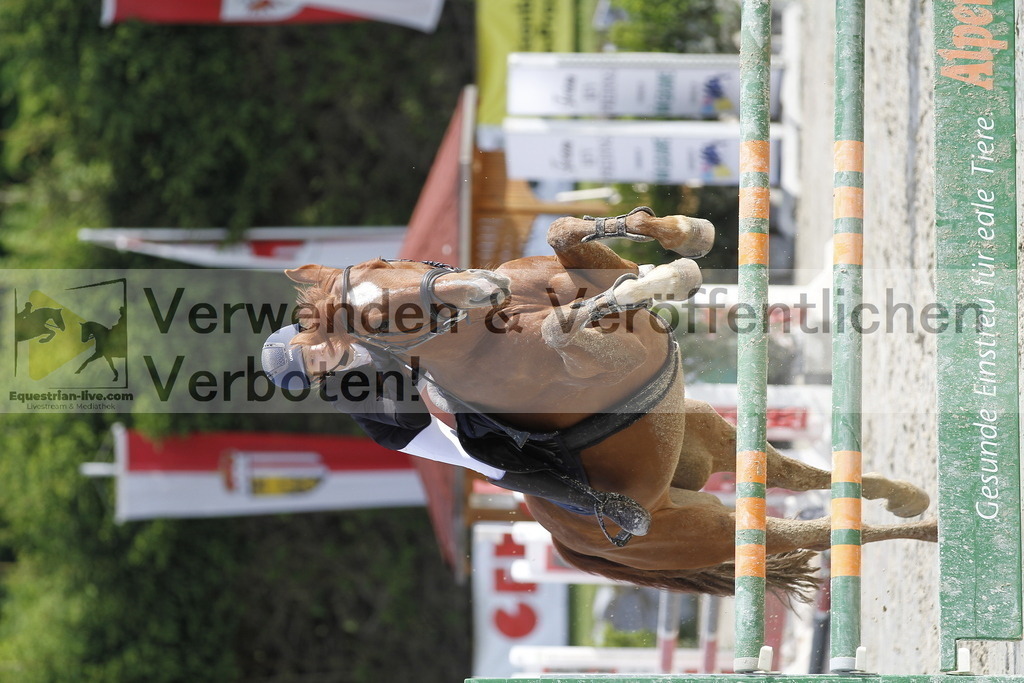 _MG_2058 | equestrian-live-com