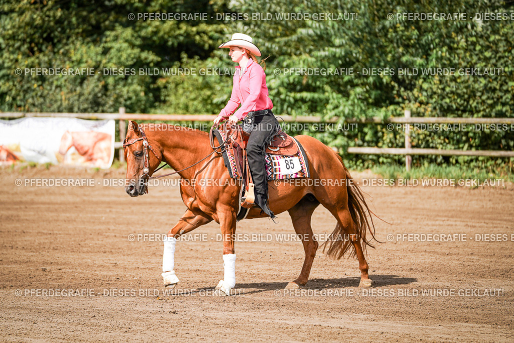 DSC09332 | Pferdegrafie