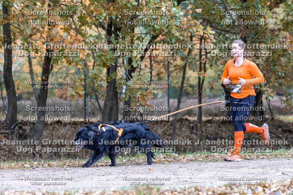 Dog Paparazzi - SD CaniX Championship 2025-518 | Dog Paparazzi Jeanette Grottendiek Fotografie & Videografie - Realisiert mit Pictrs.com