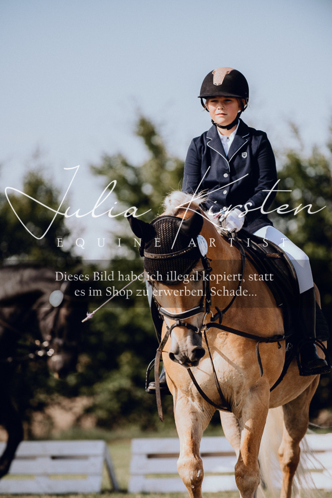 DSC_7002 | Pferde- und Turnierfotografie in Westsachsen. Pferdeportraits, Auftragszeichnungen und intuitive Kunst.