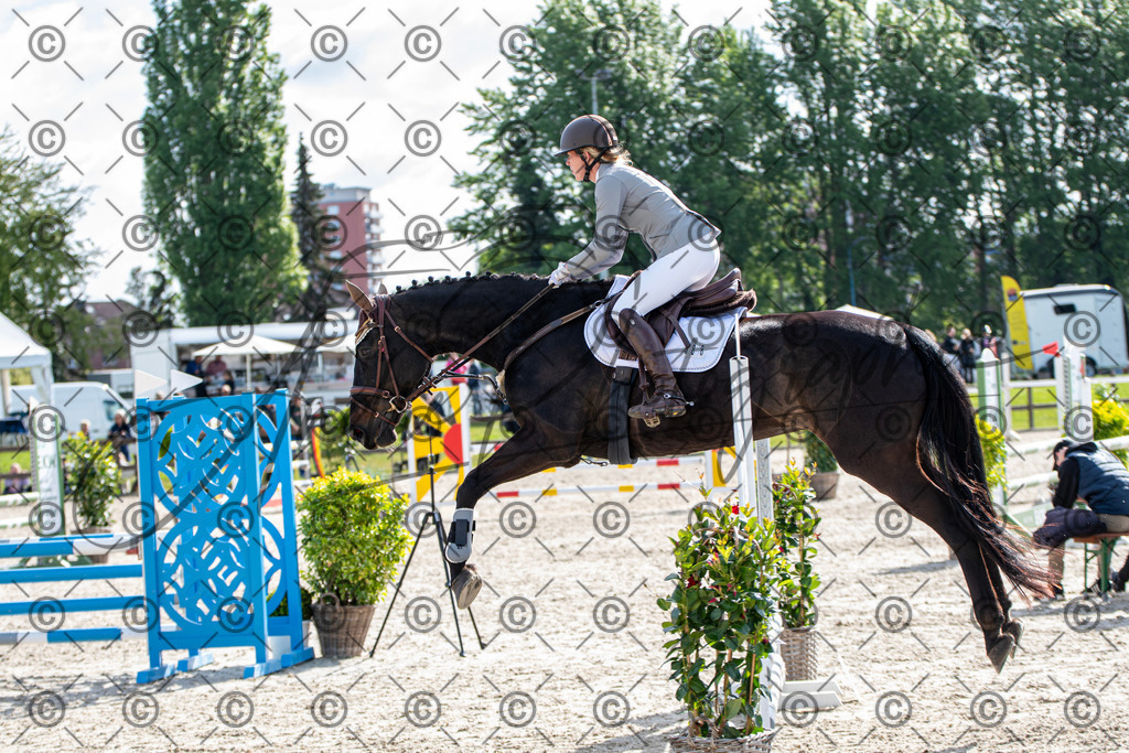 KPT_4683 | andre_photographic