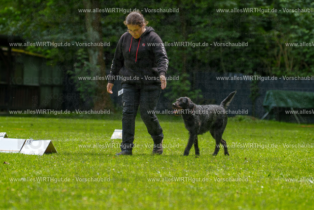 @allesWIRTHgut_Tierfotografie - www.allesWIRTHgut.de - 7R500754 | Professionelle Tierfotografie in Mönchengladbach von Daniel Wirth (allesWIRTHgut). Liebevolle & natürliche Bilder von Hunden & Katzen für unvergessliche Erinnerungen.