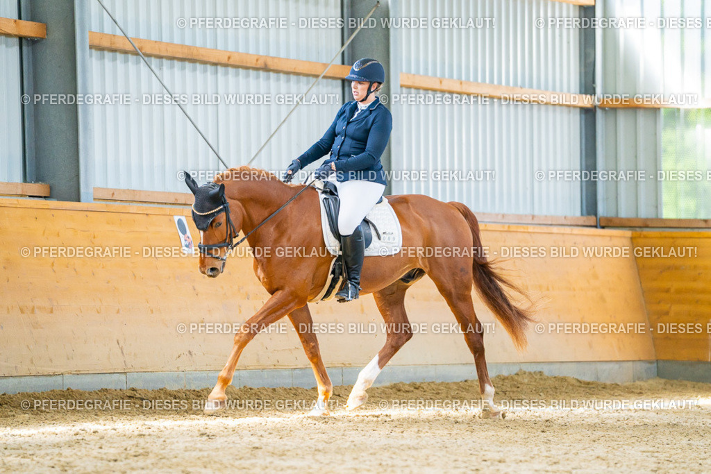 DSC07540 | Pferdegrafie