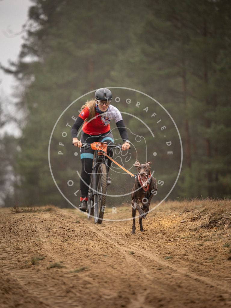 Pfotenfotografie_DV3A2427 | Hundefotografie, Tierfotograf, Pfotenfotografie, Fotoshooting Hund, Hunde Portrait, Hundesport, Hundeportraits, Heideshooting, Hunde, Sportfotograf, Hundefotograf, Turnierhundsport, THS,  - Realisiert mit Pictrs.com