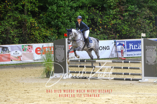 DKP40209 | Turniersportfotografie; Pferdefotografie; Dressurfotografie