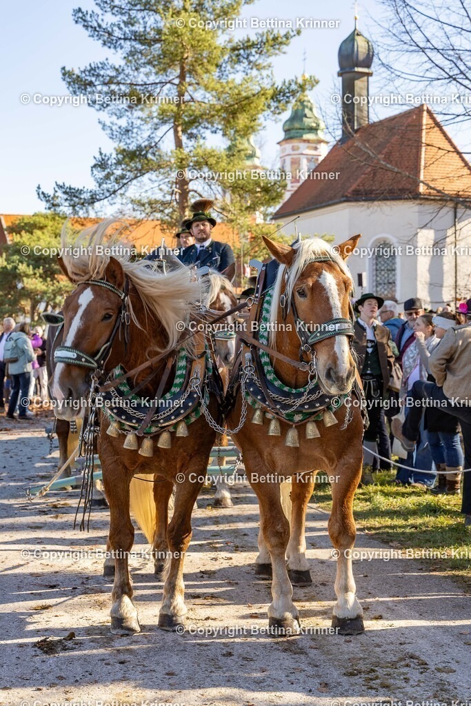 LBT25-1166 | foto-bettina-krinner - Realisiert mit Pictrs.com