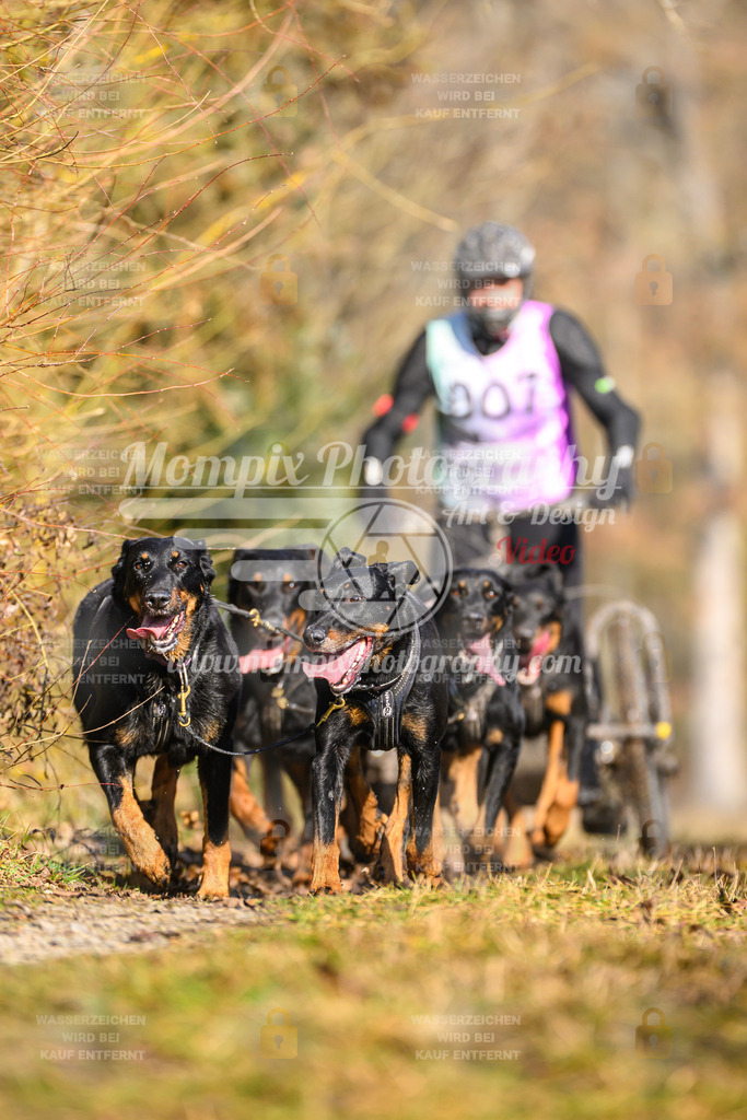MompixPhotography_Schwabentrail2025_SO_Kart-8 | PayLife