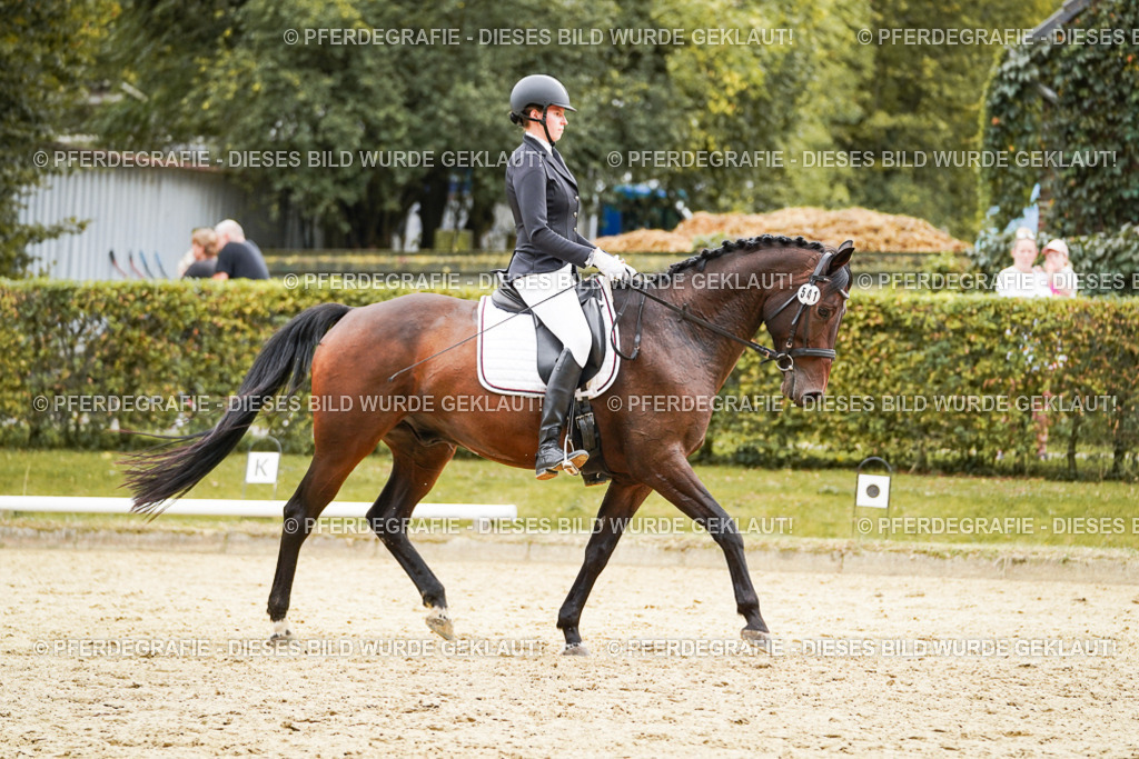 DSC00253 | Pferdegrafie