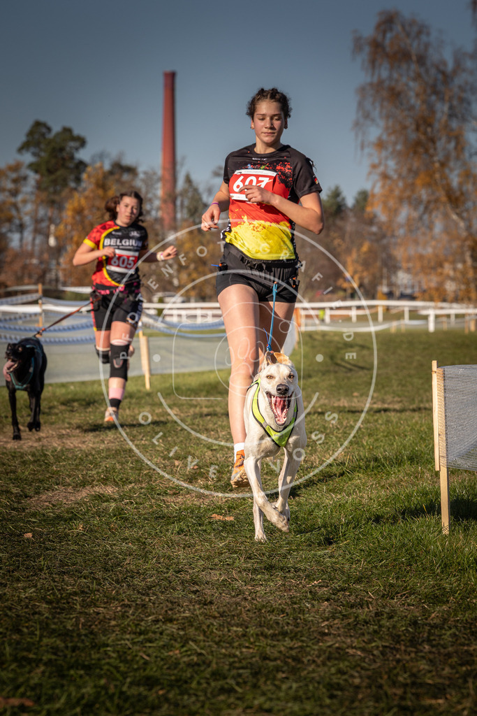 CaniXpix_0L8A8631 | Hundefotografie, Tierfotograf, Pfotenfotografie, Fotoshooting Hund, Hunde Portrait, Hundesport, Hundeportraits, Heideshooting, Hunde, Sportfotograf, Hundefotograf, Turnierhundsport, THS,  - Realisiert mit Pictrs.com