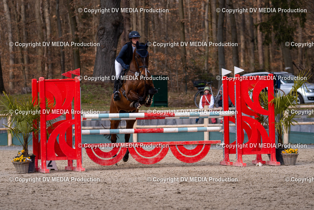 Kranichstein Tag 2-1900 | dv-media-shop - Realisiert mit Pictrs.com