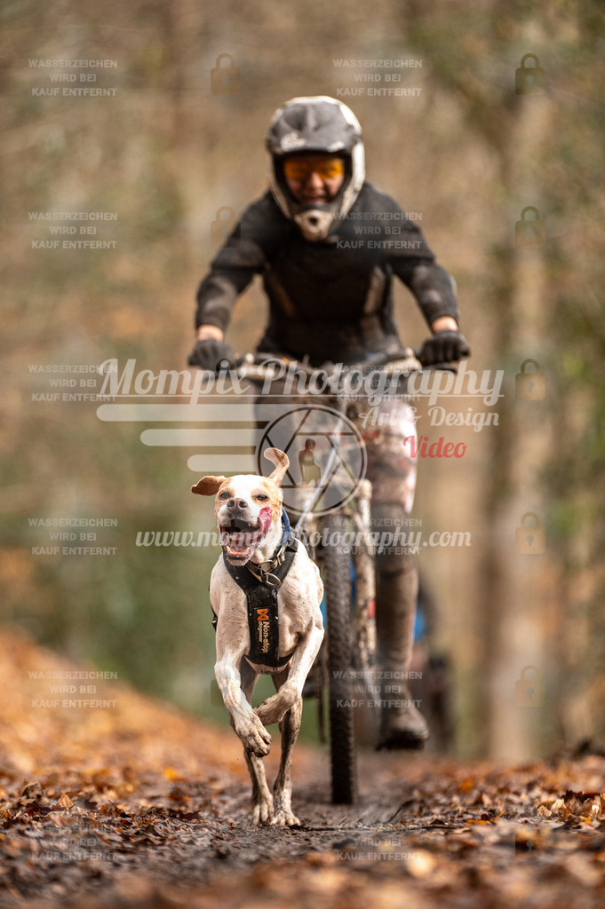 SPA_2023_DIM_Bike-83 | PayLife