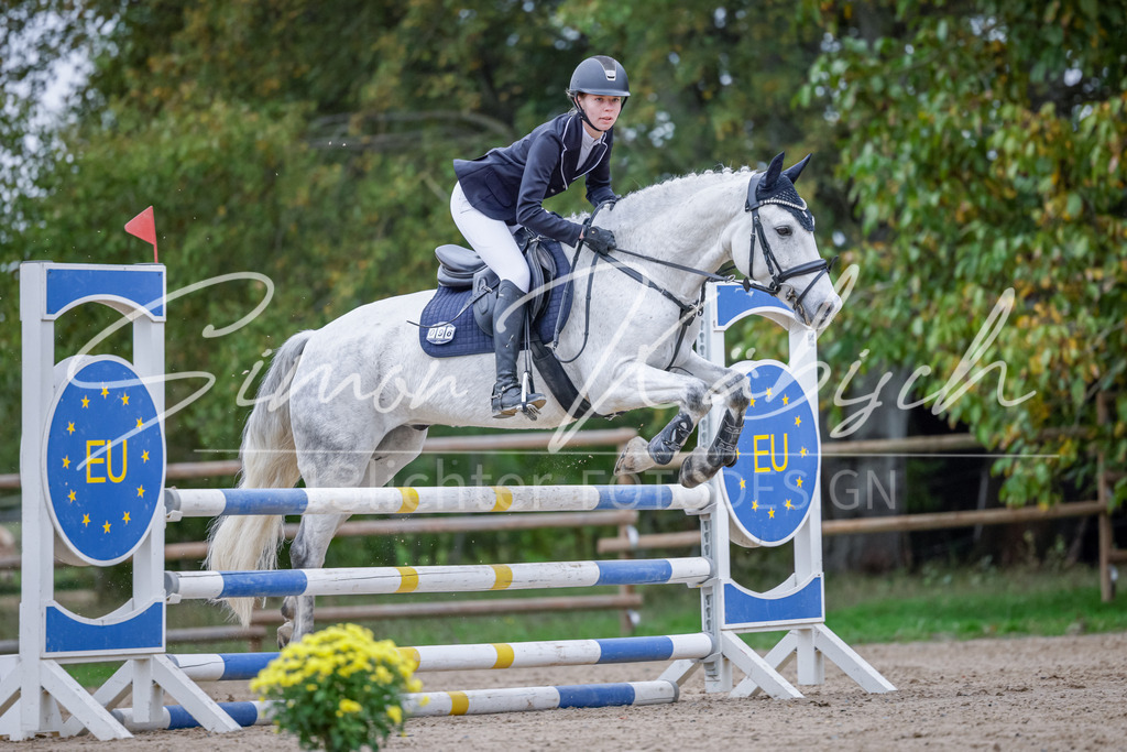 20251012-_3LI4364 | Tierfotografie Pferde, Hunde, Katzen, Haustiere.
Turnierfotografie Reitturniere, Reiten, Springreiten, Dressur in Hanau, dem Main-Kinzig-Kreis und dem Rhein-Main- Gebiet um Frankfurt