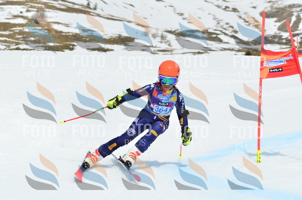 _ELE2918 | holidayphoto