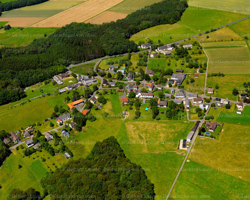 3105375 | Bachenberg