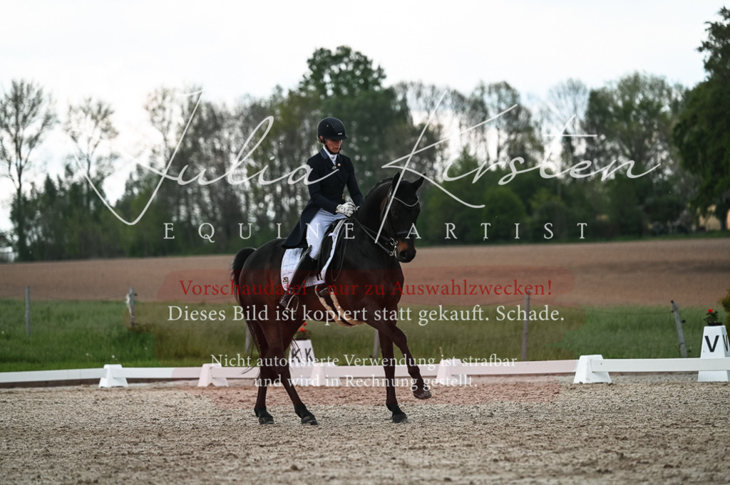 20230514_JK-Röhrsdorf-21-344 | Pferde- und Turnierfotografie in Westsachsen. Pferdeportraits, Auftragszeichnungen und intuitive Kunst.