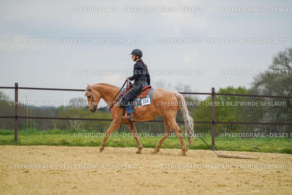 DSC07196 | Pferdegrafie