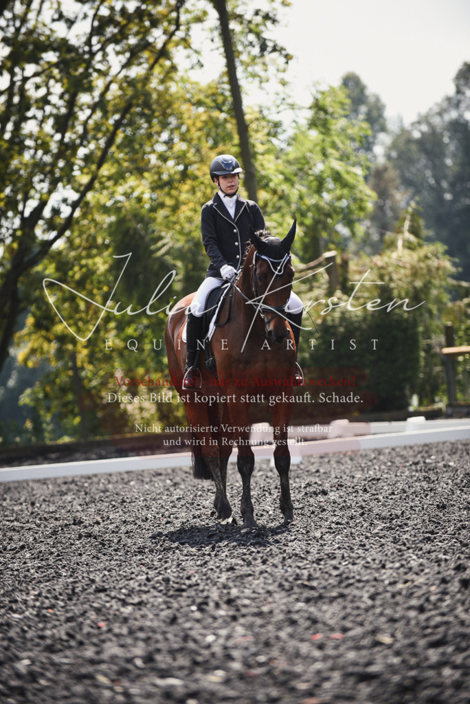 DSC_4132 | Pferde- und Turnierfotografie in Westsachsen. Pferdeportraits, Auftragszeichnungen und intuitive Kunst.