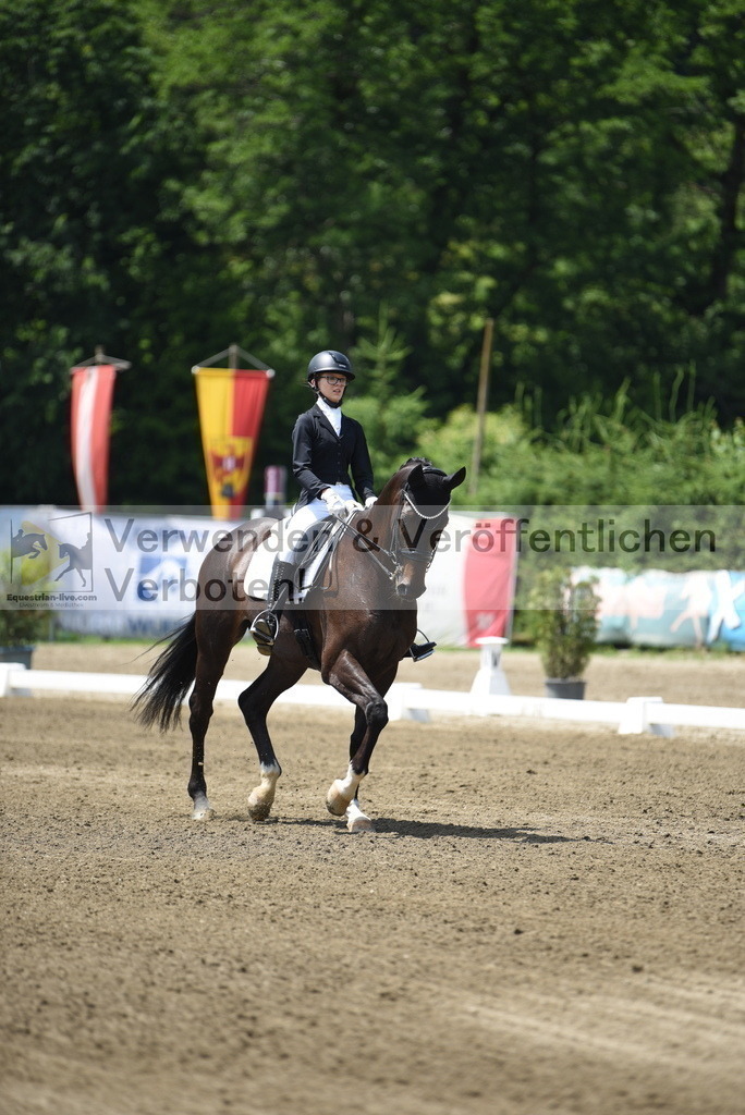 DSC_9773 | equestrian-live-com