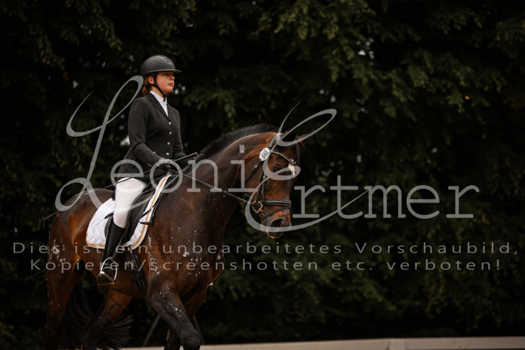 DoDrE00259 | Leoni Ertmer Photography - Realisiert mit Pictrs.com