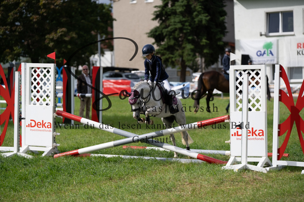 A7V03889 | Pferdefotograf