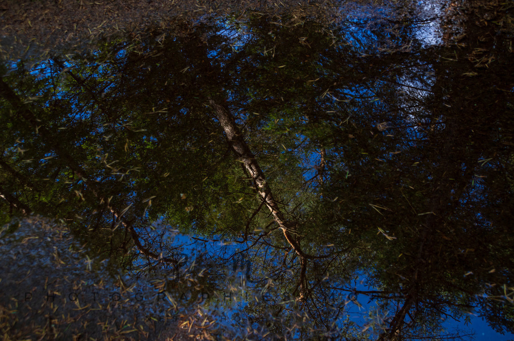 _Reservat2022-1557 | Photographies and more - Realisiert mit Pictrs.com