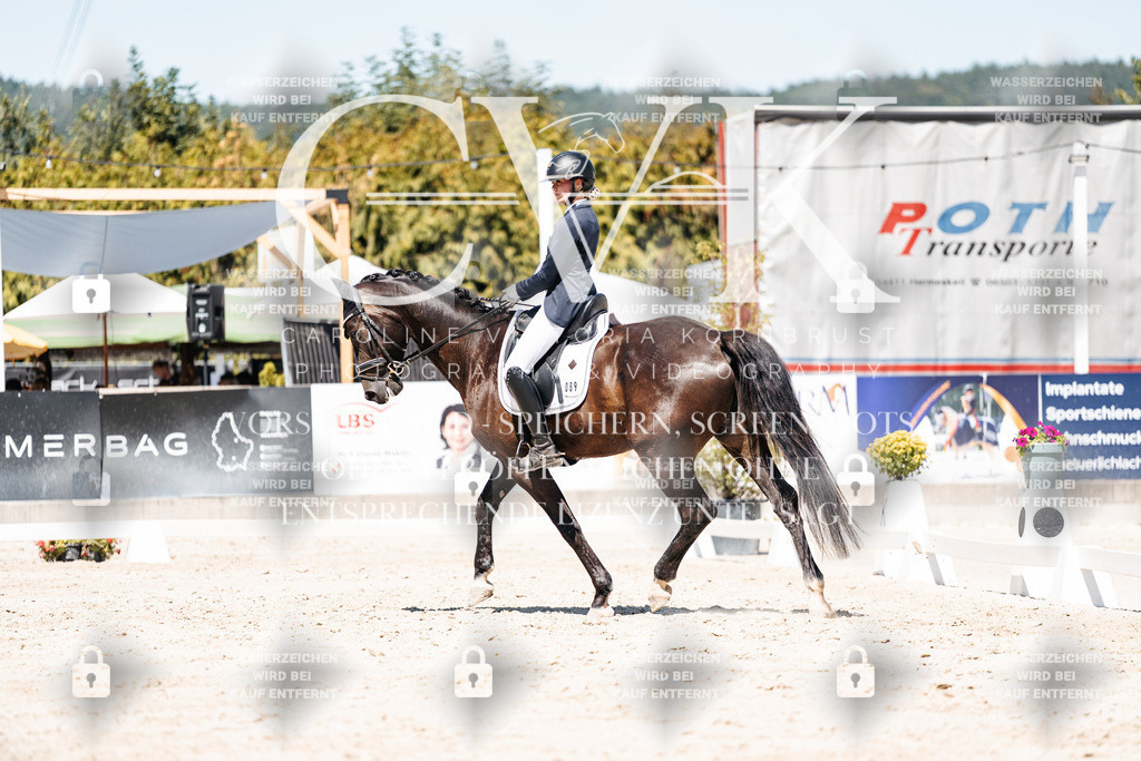 CK900312 | Turnierfotografie Pferdefotografie Trier Rheinland-Pfalz Pferdesport Reitsport Tierfotografie Sportfotografie Pferdevideo Pferdevideografie Equestrianvideography equestrianphotography  - Realisiert mit Pictrs.com