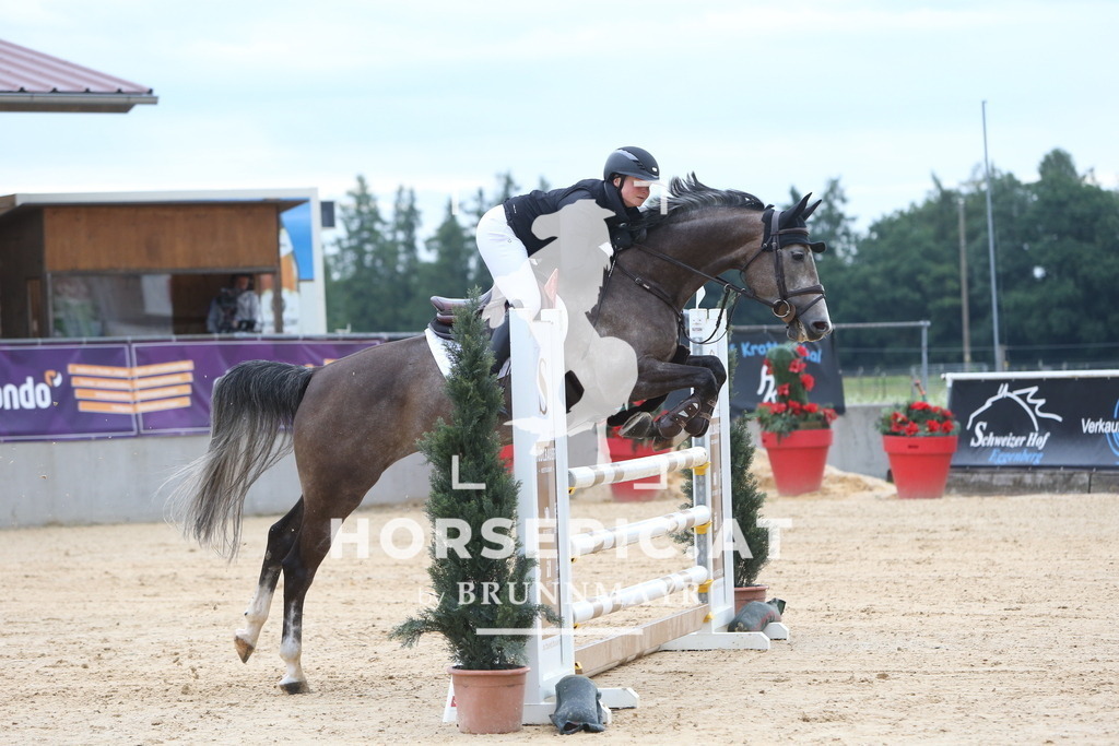 DL2Q4243 | Willkommen bei Brunnmayr - Design & Fotografie – Ihrem Spezialisten für Reitturniere und Pferdeveranstaltungen in Oberösterreich, Salzburg und Bayern! Seit über 17 Jahren sind wir leidenschaftlich dabei.