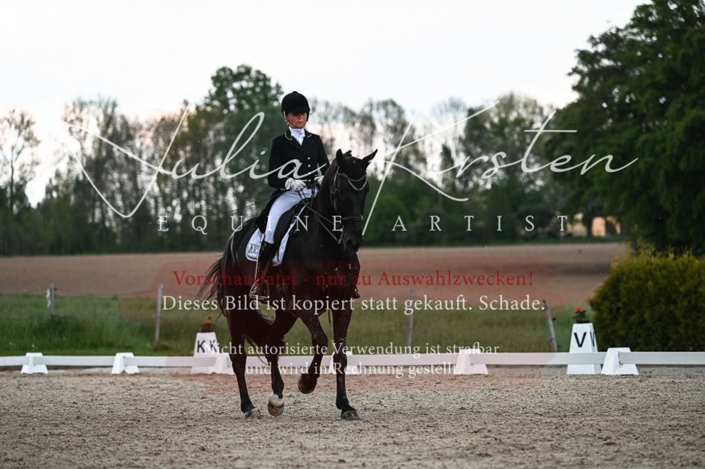 20230514_JK-Röhrsdorf-21-480 | Pferde- und Turnierfotografie in Westsachsen. Pferdeportraits, Auftragszeichnungen und intuitive Kunst.