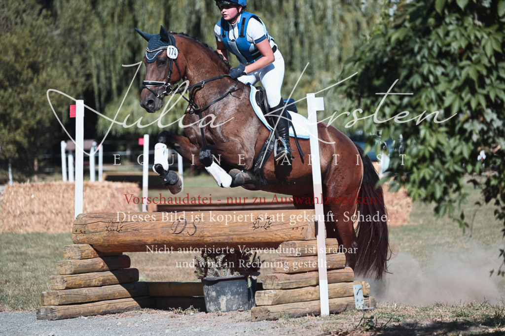 DSC_8713 | Pferde- und Turnierfotografie in Westsachsen. Pferdeportraits, Auftragszeichnungen und intuitive Kunst.