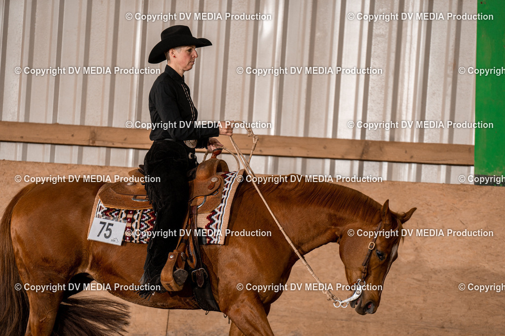 BAL01855 | dv-media-shop - Realisiert mit Pictrs.com