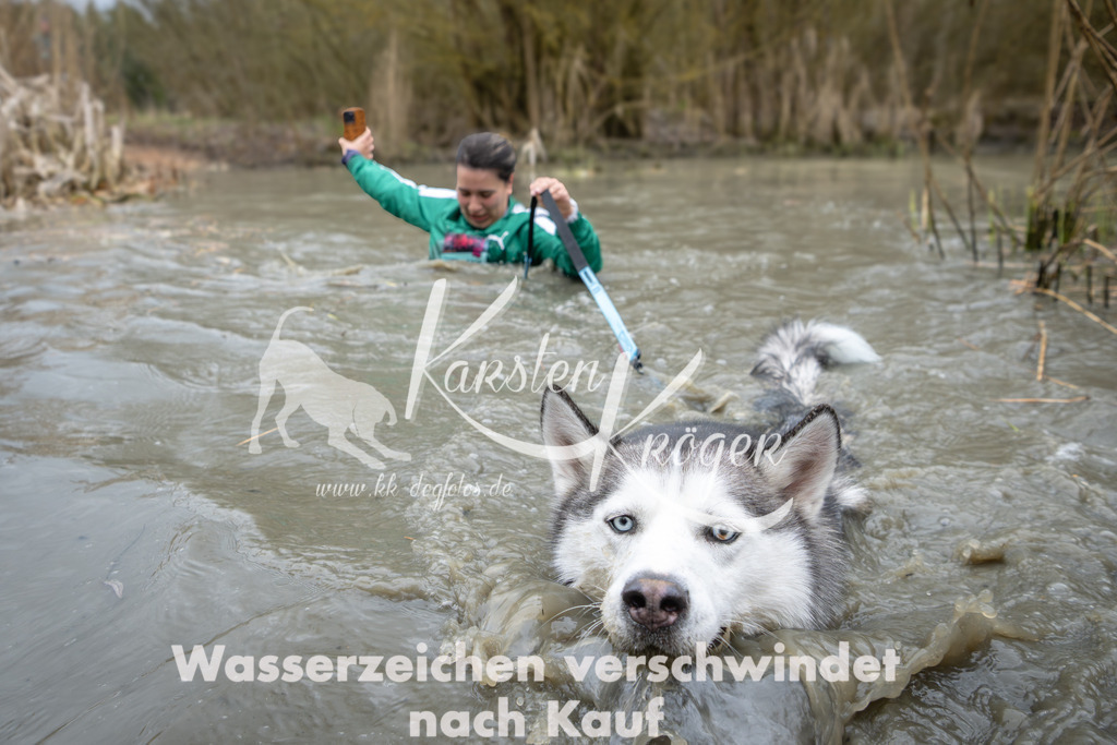 1403_ZZ95933 | kk-dogfotos