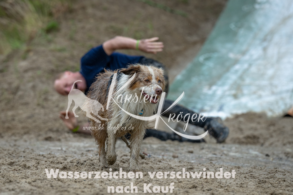 1403_ZZ90806 | kk-dogfotos