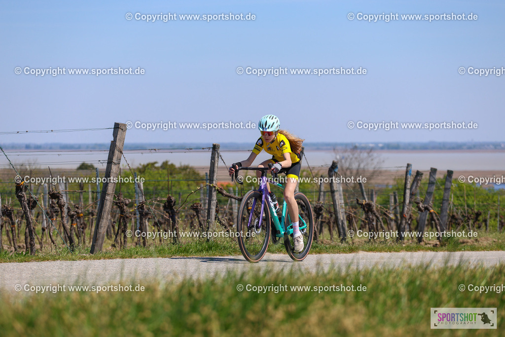 IMG_8897 | @sportshot_your_pictrs #yourpictures#roadtowm2029 #nrm #neusiedlerseeradmarathon #neusiedlersee #neusiedlerseetourismus #burgenland #mörbisch #nrm26 #burgenlandtourismus #voglundco #poweredbyburgenlandtourismus #radsport #rad #marathon #ucigranfondo #visitburgenland #ucigranfondoworldseries