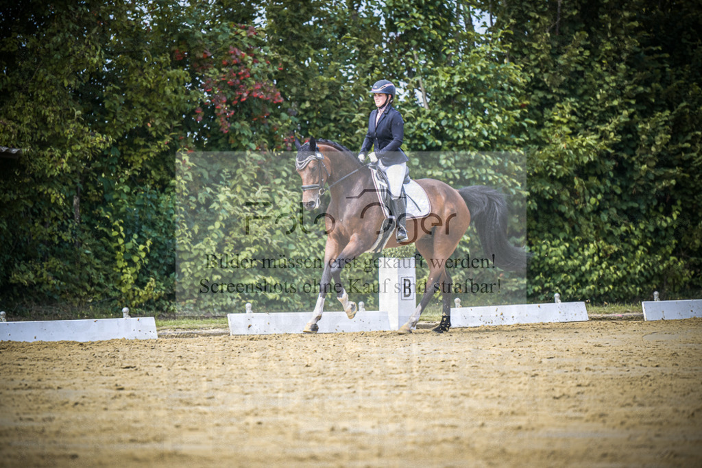 DOS_5467 | Entdecke hochwertige Reitturnierfotos von Foto Oger. Professionell, emotional und authentisch – jetzt Lieblingsmomente im Shop bestellen.Deutschlandweite Turnierfotografie. - Realisiert mit Pictrs.com
