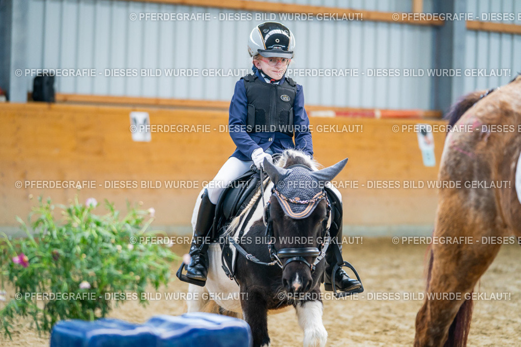 DSC01283 | Pferdegrafie