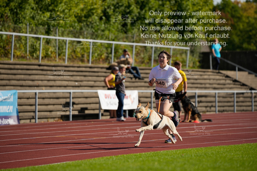 Sonntag_Staffel (11 von 336) | stephaniefillaphotographie - Realisiert mit Pictrs.com