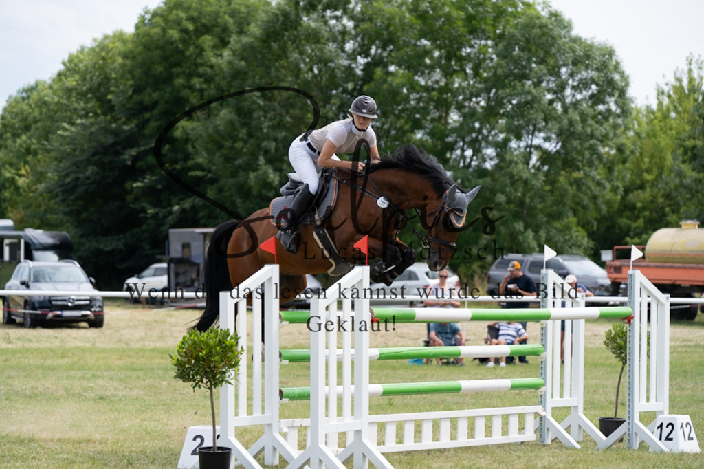 A7V02250 | Pferdefotograf