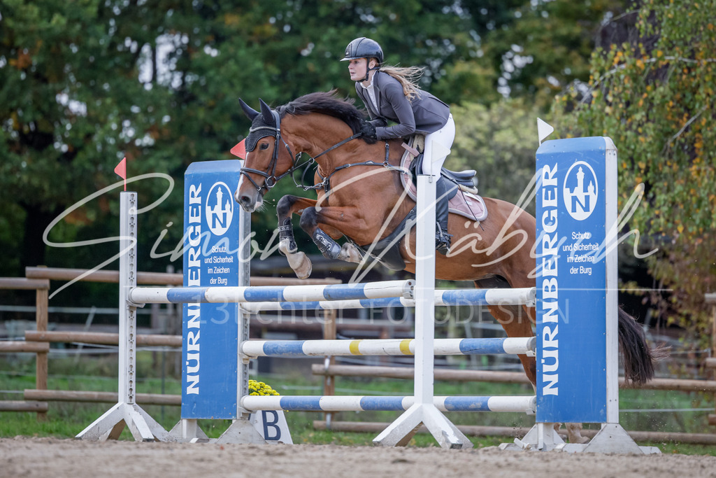 20251012-_3LI5155 | Tierfotografie Pferde, Hunde, Katzen, Haustiere.
Turnierfotografie Reitturniere, Reiten, Springreiten, Dressur in Hanau, dem Main-Kinzig-Kreis und dem Rhein-Main- Gebiet um Frankfurt