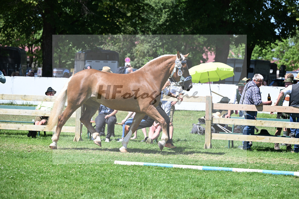 Kat-Nr. 69 Fee G v. Verry_GRandauer_18251168 | hf-fotografie - Realizzato con Pictrs.com