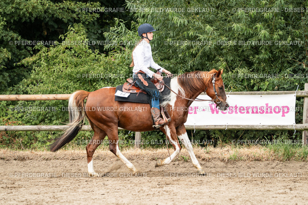 DSC03976 | Pferdegrafie