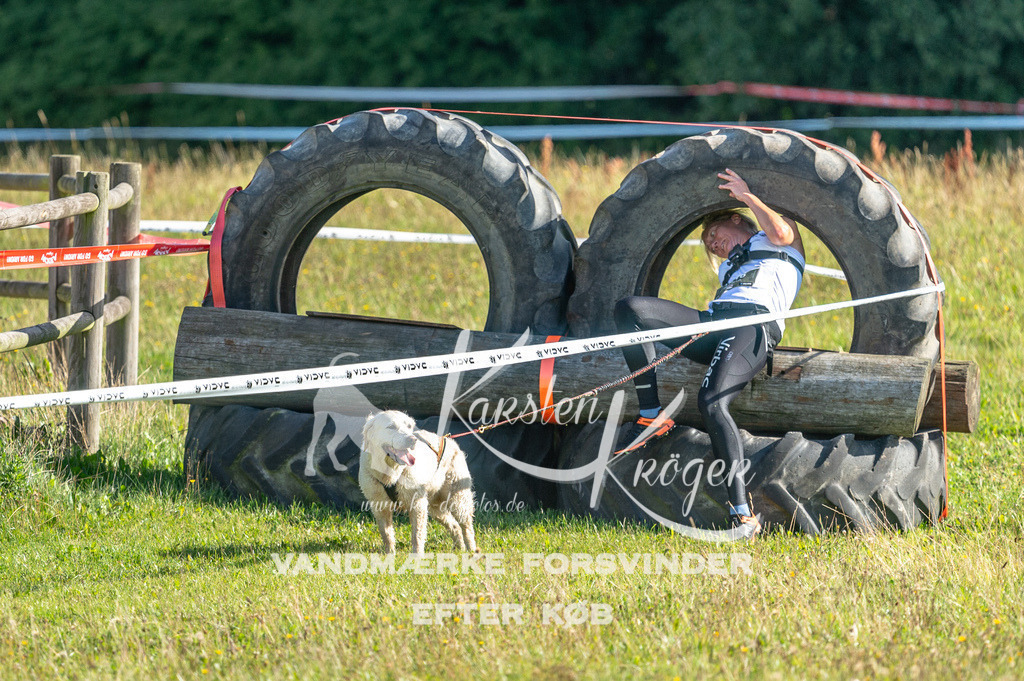 1030STR_1790 | kk-dogfotos